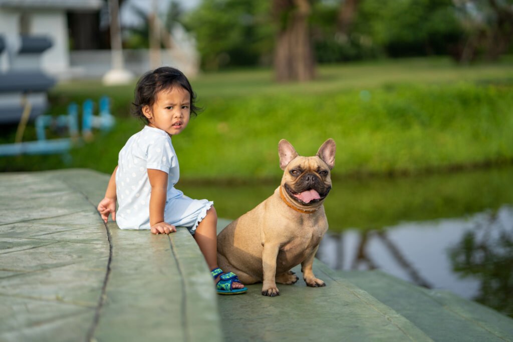 Are French Bulldogs Good With Kids?